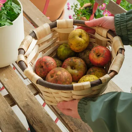 Areitio Etxea - Casa Con Jardin Chalet Mallavia